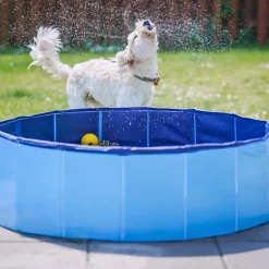 Active Canis Dog Pool | 100X30 Cm