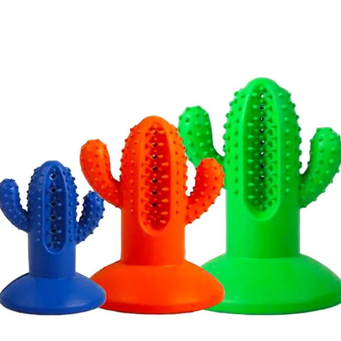 AFP Dental Cactus