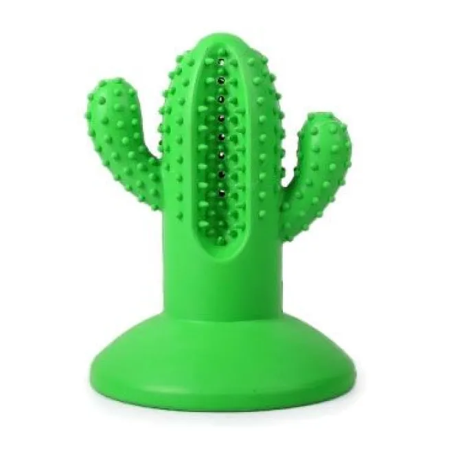 AFP Dental Cactus