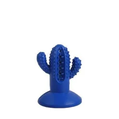 AFP Dental Cactus