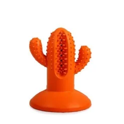 AFP Dental Cactus