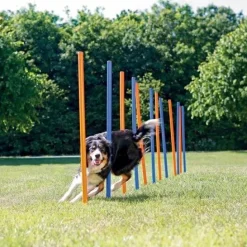 Agility Slalompinde | Trixie