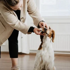 Bellylabs Graviditetstest / Dog Pregnancy Test