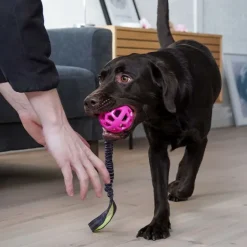 Bungee Tugger Med Bold | Trixie