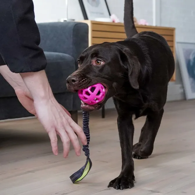 Bungee Tugger Med Bold | Trixie