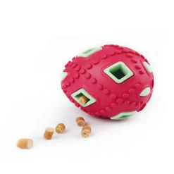 Companion Chewing Egg