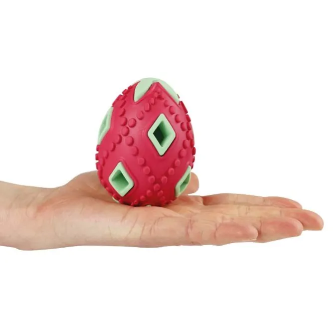 Companion Chewing Egg
