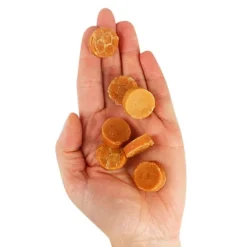 Companion Chicken Coins | 80g