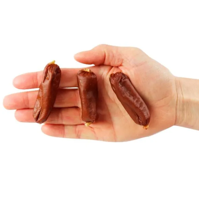 Companion Dry Sausage Kylling | 100g