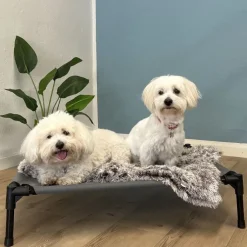 Companion Foldbar Hundeseng