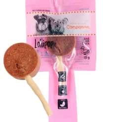 Companion Lollipop | And