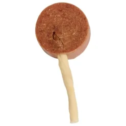 Companion Lollipop | And
