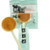 Companion Lollipop | Kylling