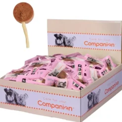 Companion Lollipop And | 60 Stk. STORKØB
