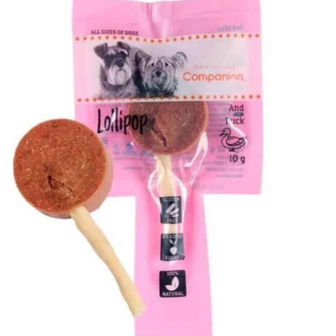Companion Lollipop And | 60 Stk. STORKØB