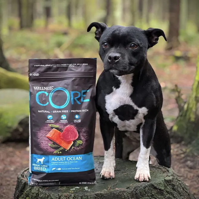 CORE Adult Ocean - Medium/Large Breed | Tørfoder