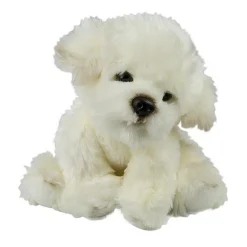 Coton De Tulear /Bichon Frise Bamse/Ollie