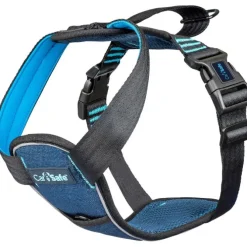 Crash Tested Hundesele