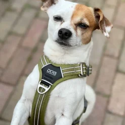 DOG Copenhagen Comfort Walk Air™ Selen | Step In