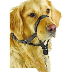Dog Head Collar | Snudesele