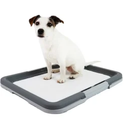 Doggy Trainer | Hundetoilet
