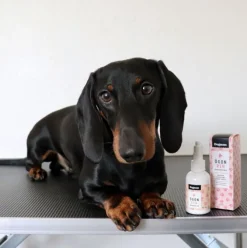 Dogman Øjenrens 50ml