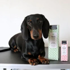 Dogman Poterengøring Mousse 150ml