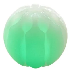 Glow Streak LED Hundebold