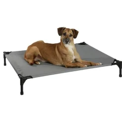 Hundeseng Med Soltag