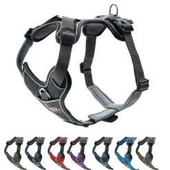 Hunter Divo Hundesele | OUTLET
