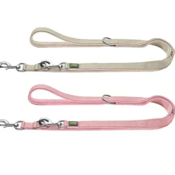 Hunter Divo Up | Hundesnor