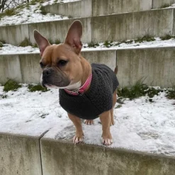 Hunter Hundesweater Malmø