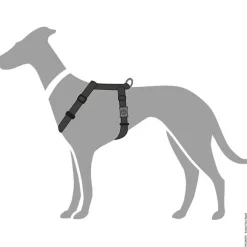 Hunter London Vario Rapid Hundesele