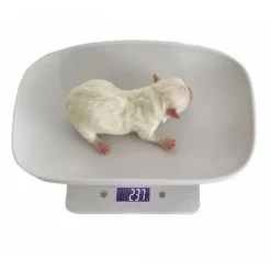 Hvalpevægt Digital | Max 5 Kg