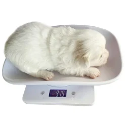 Hvalpevægt Digital | Max 5 Kg