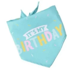 It's My Birthday Bandana | Turkis