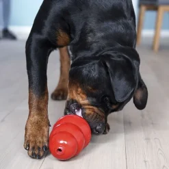 KONG Original