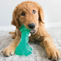 KONG Squeezz Dental Stick