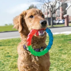 KONG Twistz Ring
