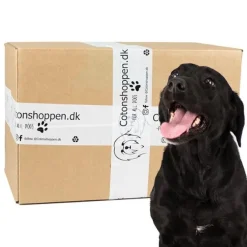Large Breed Surprise Box Z1