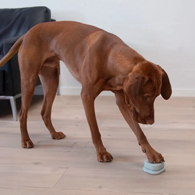 Min-Hund-Kan-Tale-Knap | 1 Stk. OUTLET