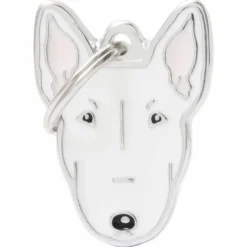 My Family | Bull Terrier