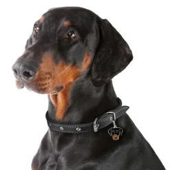 My Family | Hundetegn Dobermann