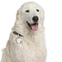 My Family | Hundetegn Maremma Sheepdog