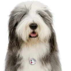 My Family | Hundetegn Old English Sheepdog | OUTLET