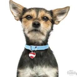 MyFamily | Hundetegn I Love My Dog