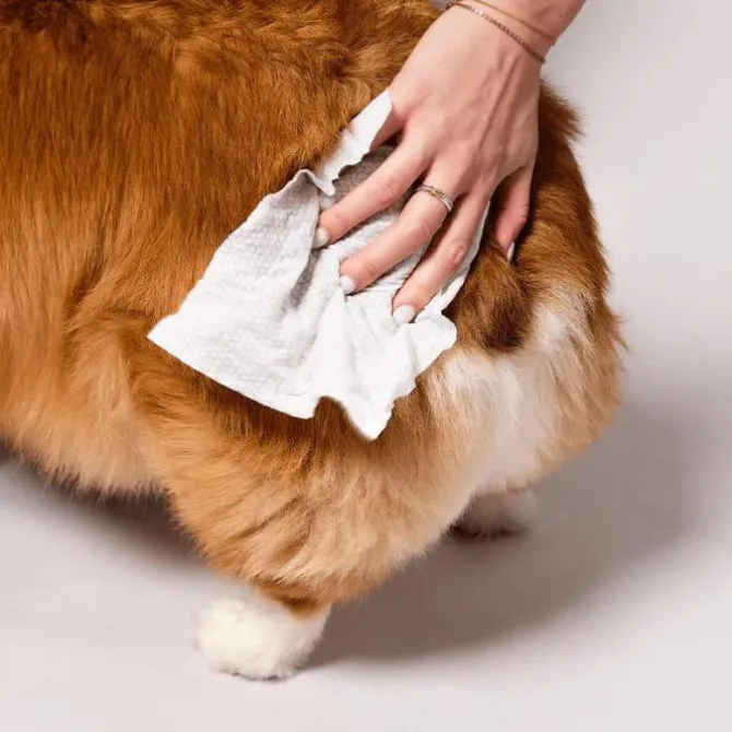 Natural Dog Company Grooming Wipes | 50 Stk