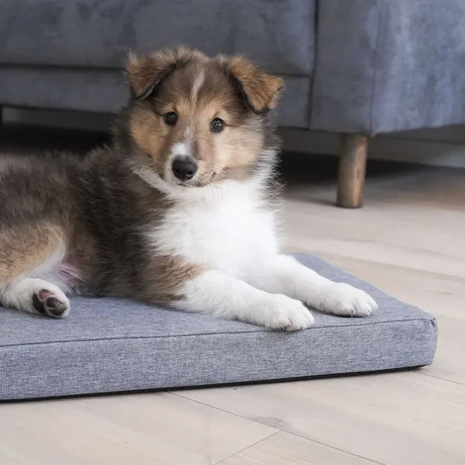 Åndbar Hundemadras | Grå