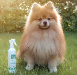 No. 13 Combing Conditioner | BEA Natur