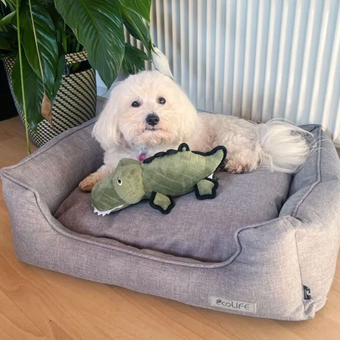 Nordic Paws | ECO Hundeseng